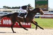 Jeanie Johnston Hippodrome de Cagnes sur Mer , steeple-chase, haies, courses d'obstacles, quinté + prix du mont saint-michel, quinté, quinté plus , rapport pmu, pmu,
