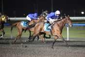 EMIRATES CHAMPION