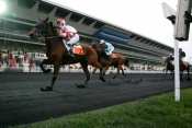 Vincennes Trot Monte hippodrome de Paris-Vincennes, criterium des jeunes, quinté+ prix de Cornulier, ready cash, quinté plus nocturne, quinté+, quinté plus, pronostic