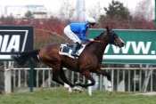 Pouvoir Absolu hippodrome de Saint-Cloud, rapports PMU, cotes PMU, zeturf, betclic, quinté plus nocturne, quinté+, quinté plus, pronostic