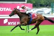 Cirrus Des Aigles hippodrome de Longchamp, rapports PMU, cotes PMU, zeturf, betclic, quinté plus nocturne, quinté+, quinté plus, pronostic