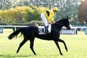 Le Valentin  hippodrome de Longchamp, rapports PMU, cotes PMU, zeturf, betclic,  quinté plus nocturne, quinté+, quinté plus, pronostic 