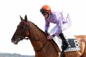 Anaxis hippodrome de Saint-Cloud, rapports PMU, cotes PMU, zeturf, betclic, quinté plus nocturne, quinté+, quinté plus, pronostic