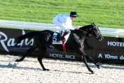 Bellinissimo hippodrome de Saint-Cloud, rapports PMU, cotes PMU, zeturf, betclic, quinté plus nocturne, quinté+, quinté plus, pronostic