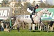 RICHHILL LADY