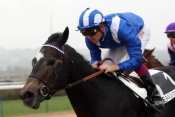 Redemptor hippodrome de Saint-Cloud, rapports PMU, cotes PMU, zeturf, betclic, quinté plus nocturne, quinté+, quinté plus, pronostic