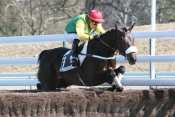 The Saint hippodrome d'Auteuil, defi du galop, , steeple-chase, haies, courses d'obstacles, quinté+, pronostics pmu gratuits, quinté, quinté plus ,