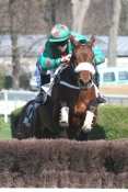 Esmondo hippodrome d'Auteuil, defi du galop, , steeple-chase, haies, courses d'obstacles, quinté+, pronostics pmu gratuits, quinté, quinté plus ,
