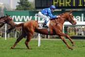 Parkori hippodrome de Longchamp, rapports PMU, cotes PMU, zeturf, betclic, quinté plus nocturne, quinté+, quinté plus, pronostic