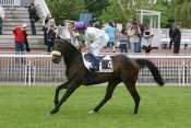 ALEANDROS