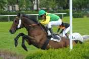 Remember Rose steeple-chase, haies, courses d'obstacles, quinté+, pronostics pmu gratuits, rapport pmu, résultats pmu