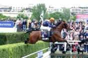 Polar Rochelais steeple-chase, haies, courses d'obstacles, quinté+, pronostics pmu gratuits, rapport pmu, résultats pmu
