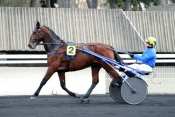 Quaker Jet trot attelé, trot monté, quinté+ prix de Cornulier, ready cash, quinté plus nocturne, quinté+