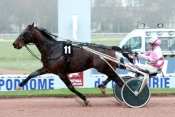 SUCCES DU POTO