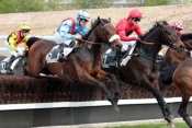 Roi Du Val Questarabad hippodrome d'Auteuil, Prix Lutteur III , Prix general de rougemont, steeple-chase, haies, courses d'obstacles, quinté+, pronostics pmu gratuits, quin