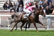 Cadeau For Maggi Quinte Prix De Newmarket rapports PMU, cotes PMU, zeturf, betclic, quinté plus, rapport pmu, resultats pmu, pronostic gratuit