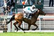 Moonlight Cloud Prix imprudence, prix La Force, rapports PMU, cotes PMU, zeturf, betclic, quinté plus, rapport pmu, resultats pmu, pronostic gratuit