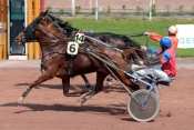 ROYALE DU BEARN