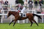 QUELLES CENDRES