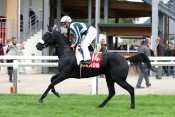 IDOTHEA