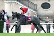 TIN HORSE