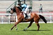 POINCON DE FRANCE