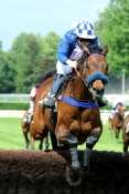 Mid Dancer steeple-chase, haies, courses d'obstacles, quinté+, pronostics pmu gratuits, rapport pmu, résultats pmu