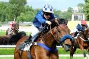 Mid Dancer steeple-chase, haies, courses d'obstacles, quinté+, pronostics pmu gratuits, rapport pmu, résultats pmu