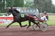 Tarass D'Amour trot attelé, trot monté, quinté+, quinté plus nocturne, quinté+, pronostic pmu, rapports pmu, pronostic quinté gratuit, turf, pmu