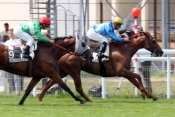 Grand Handicap De Maisons-laffitte Quinte Allesson pronostic quinté, sélection de la presse, rapports PMU, cotes PMU, quinté plus, resultat pmu, turf