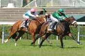 Prix Corrida Sarafina pronostic quinté, sélection de la presse, rapports PMU, cotes PMU, quinté plus, resultat pmu, turf