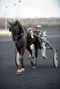 POLO SAINT QUENTIN