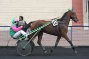 ROSE DES RIOULTS