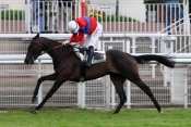 Tiptop Ville steeple-chase, haies, courses d'obstacles, quinté+, pronostic quinté, pronostics pmu gratuits, rapport pmu, résultats pmu, bonus pmu, bonus betclic,