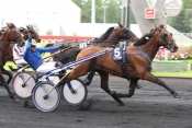 Prix Rene Balliere Quaker Jet trot attelé, trot monté, quinté+, quinté plus nocturne, quinté+, pronostic pmu, rapports pmu, pronostic quinté gratuit, turf, pmu, rapport pmu