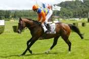 CAMARADE