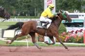 REVE DE SERVETTE