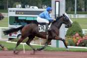 START DE LA PLAINE