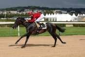 TREIZE HEUREUX