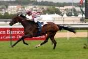 Cirrus Des Aigles
