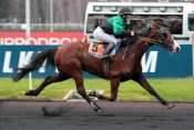 OBELISCUS