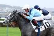 BLUE VERGLAS