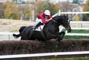 ROYAL PALOIS