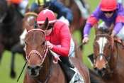 Quentindemontargis Quinte+ Prix Teddy