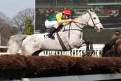 ROYAL COLLONGES