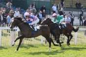 Sabratah Prix Cor De Chasse