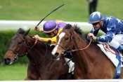 Quinte Prix De Jardy Diodoros