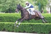 LUCKY DES AIGLES