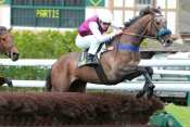 MUHTA SPEED
