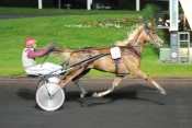 VIKING D'HENLOU